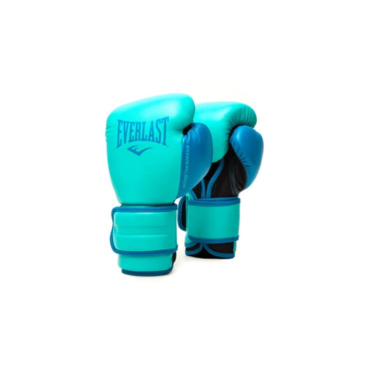 Everlast Powerlock 2 Velcro Boxing Gloves (7 Colors)